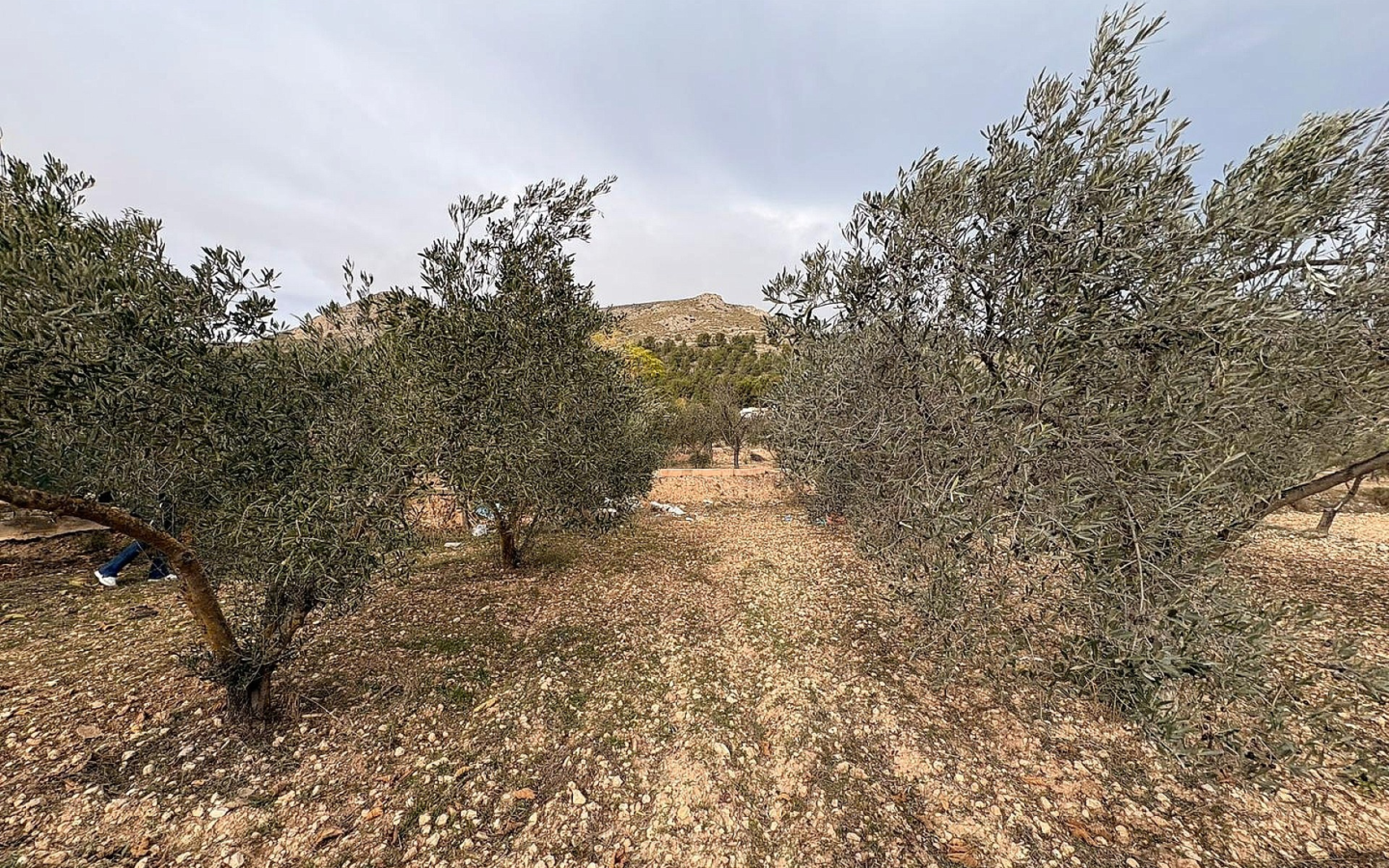 Land In Onil, Spain (8.700 M² Plot)