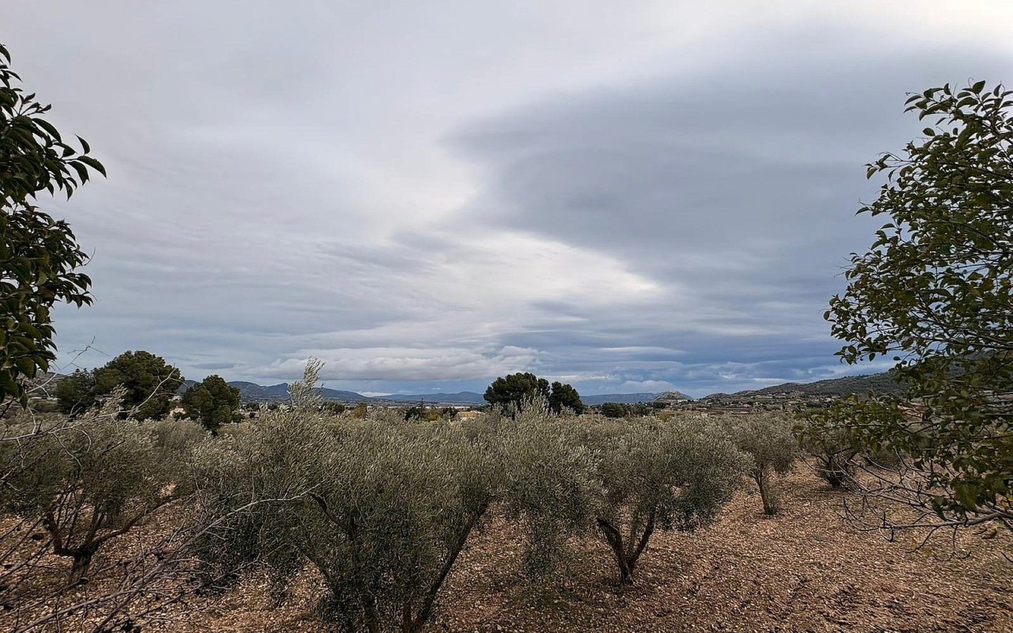 Land In Onil, Spain (8.700 M² Plot)