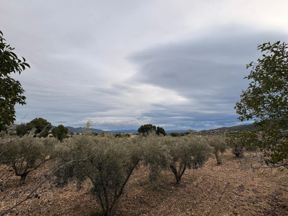 Land In Onil, Spain (8.700 M² Plot)
