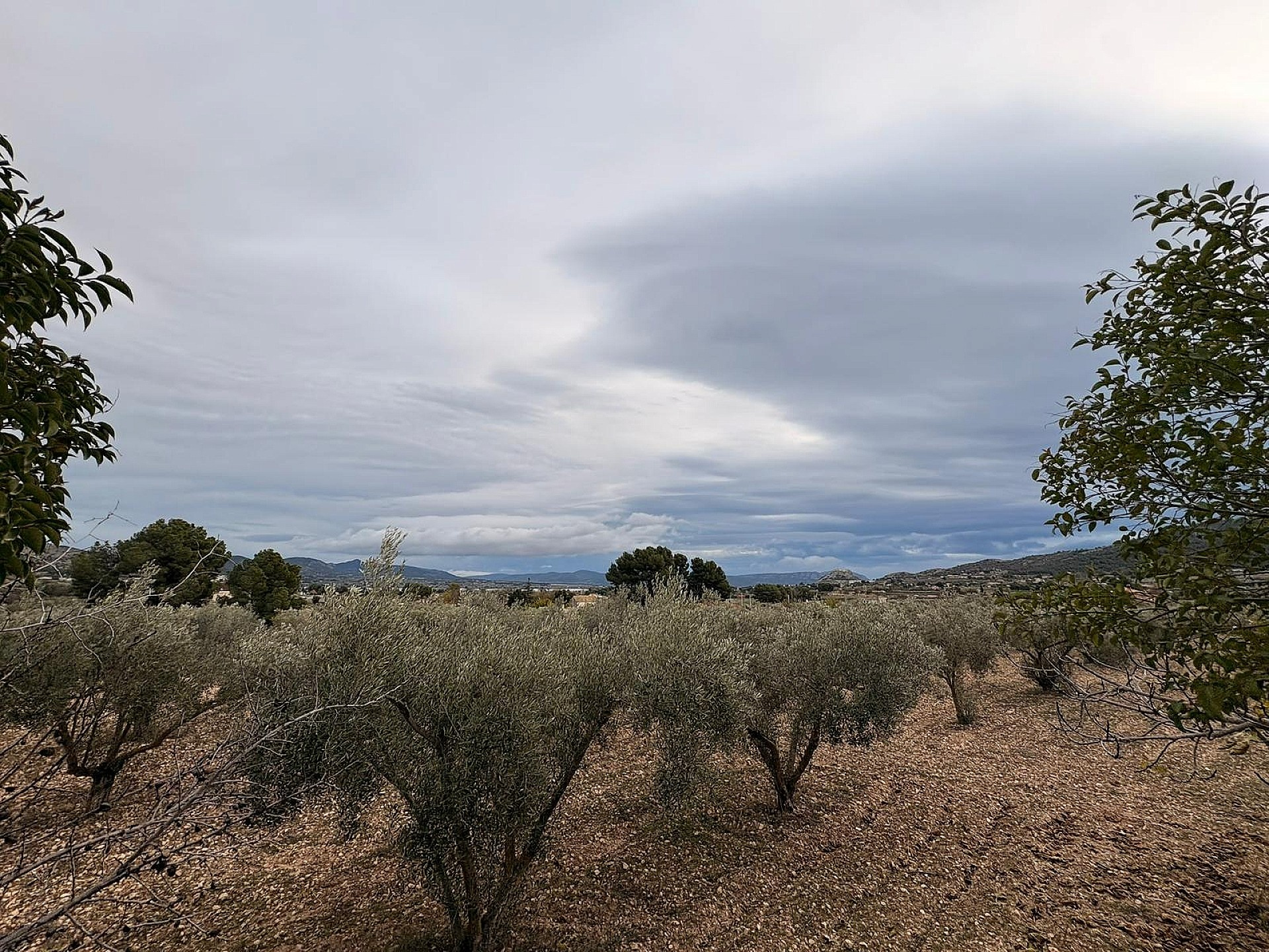 w_xb3fxxpehfjwf2ca63yd-cd4599 Land In Onil, Spain (8.700 M² Plot)