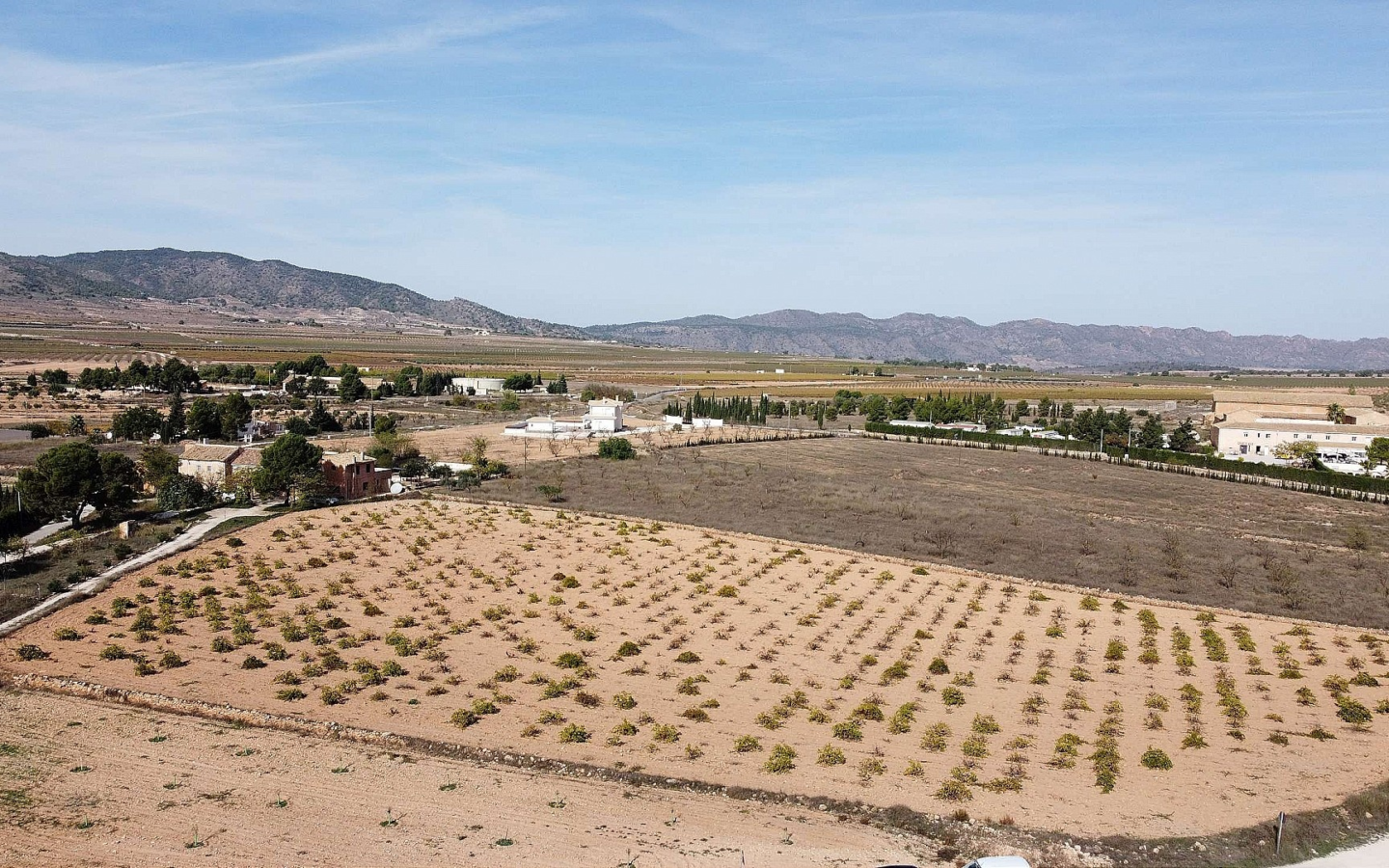 Land In Pinoso, Spain (10.000 M² Plot)