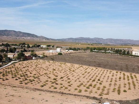 Land In Pinoso, Spain (10.000 M² Plot)