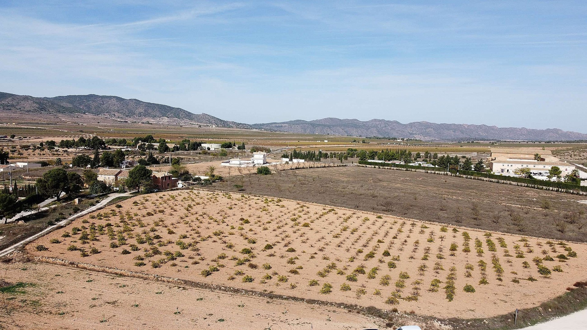 w_xcy7xv7ovjam5bpktmsh-209bf5 Land In Pinoso, Spain (10.000 M² Plot)
