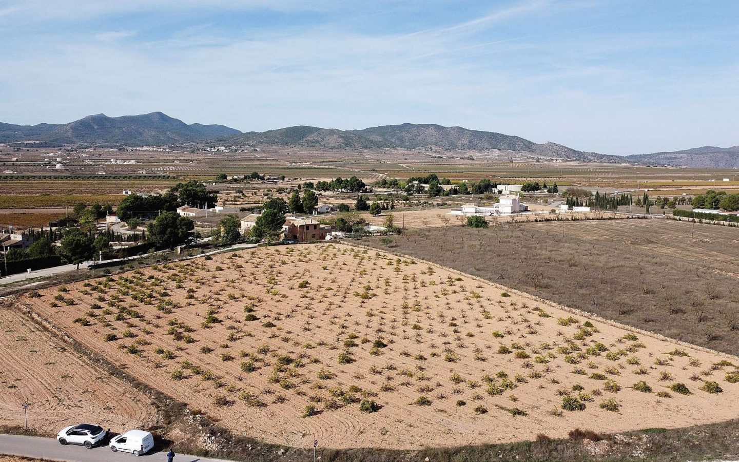 Land In Pinoso, Spain (10.000 M² Plot)