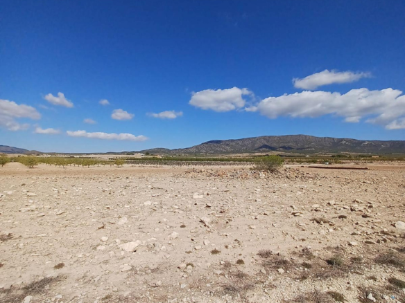 Land In Pinoso, Spain (13.836 M² Plot)