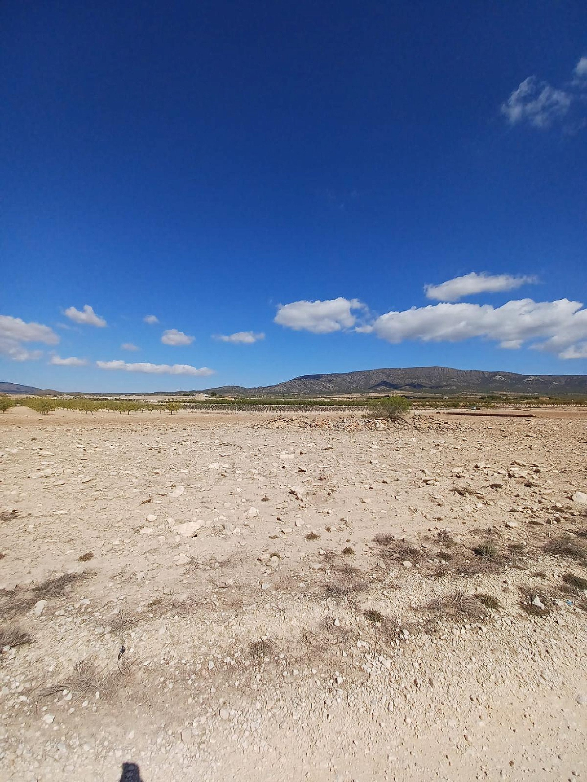 w_xzkis6ffsz0hv6hi3ye7-23ddba Land In Pinoso, Spain (13.836 M² Plot)