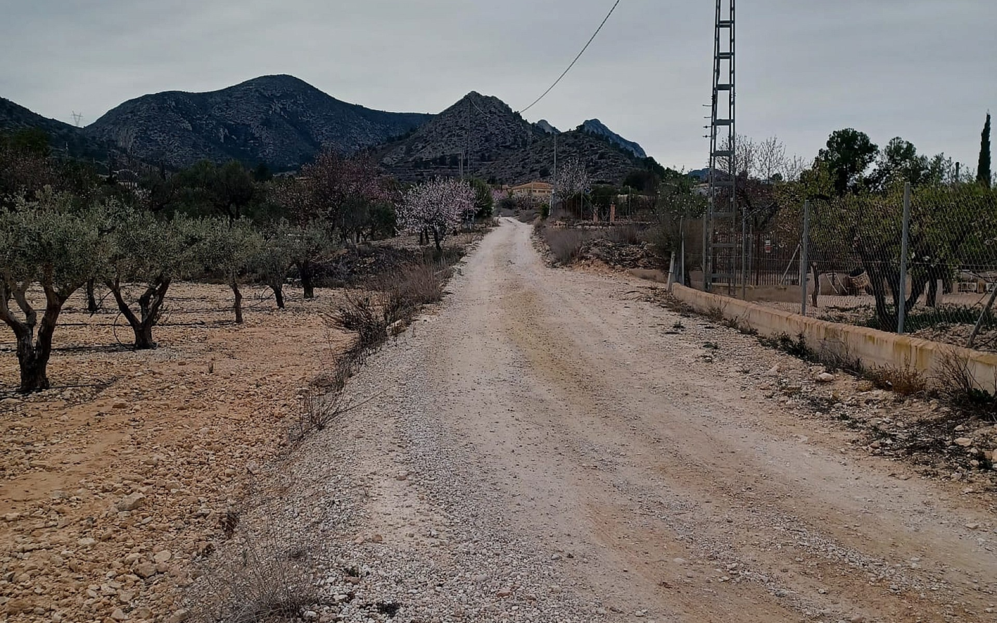 Land In La Romana, Spain (7.530 M² Plot)