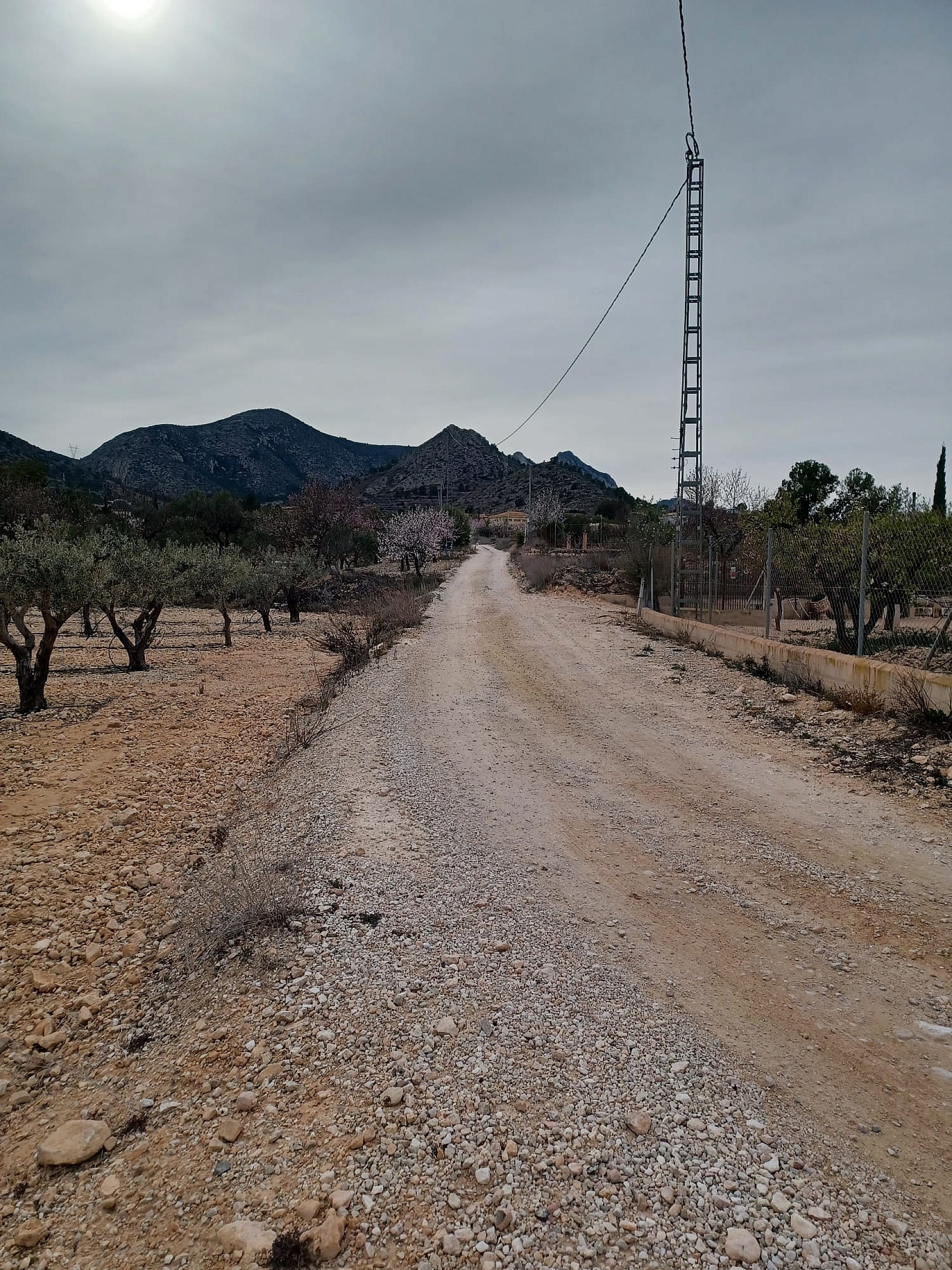 Land In La Romana, Spain (7.530 M² Plot)