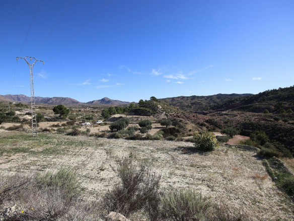 Land In Abanilla, Spain (8.000 M² Plot)