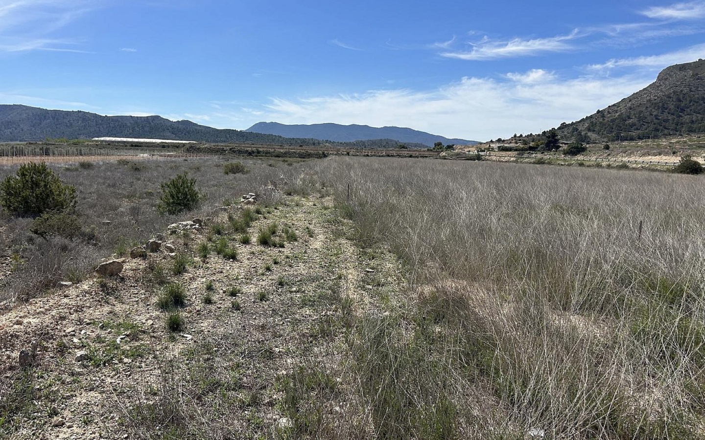 Land In Hondón De Las Nieves, Spain (15.279 M² Plot)
