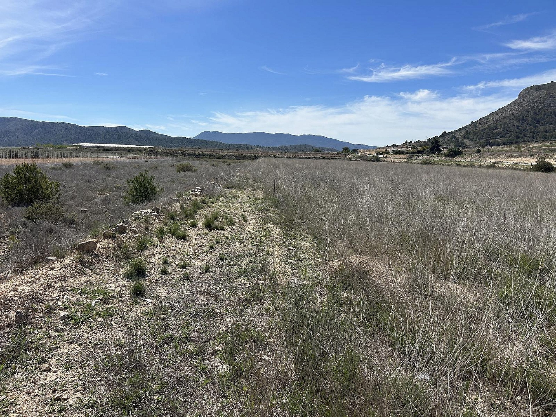 Land In Hondón De Las Nieves, Spain (15.279 M² Plot)