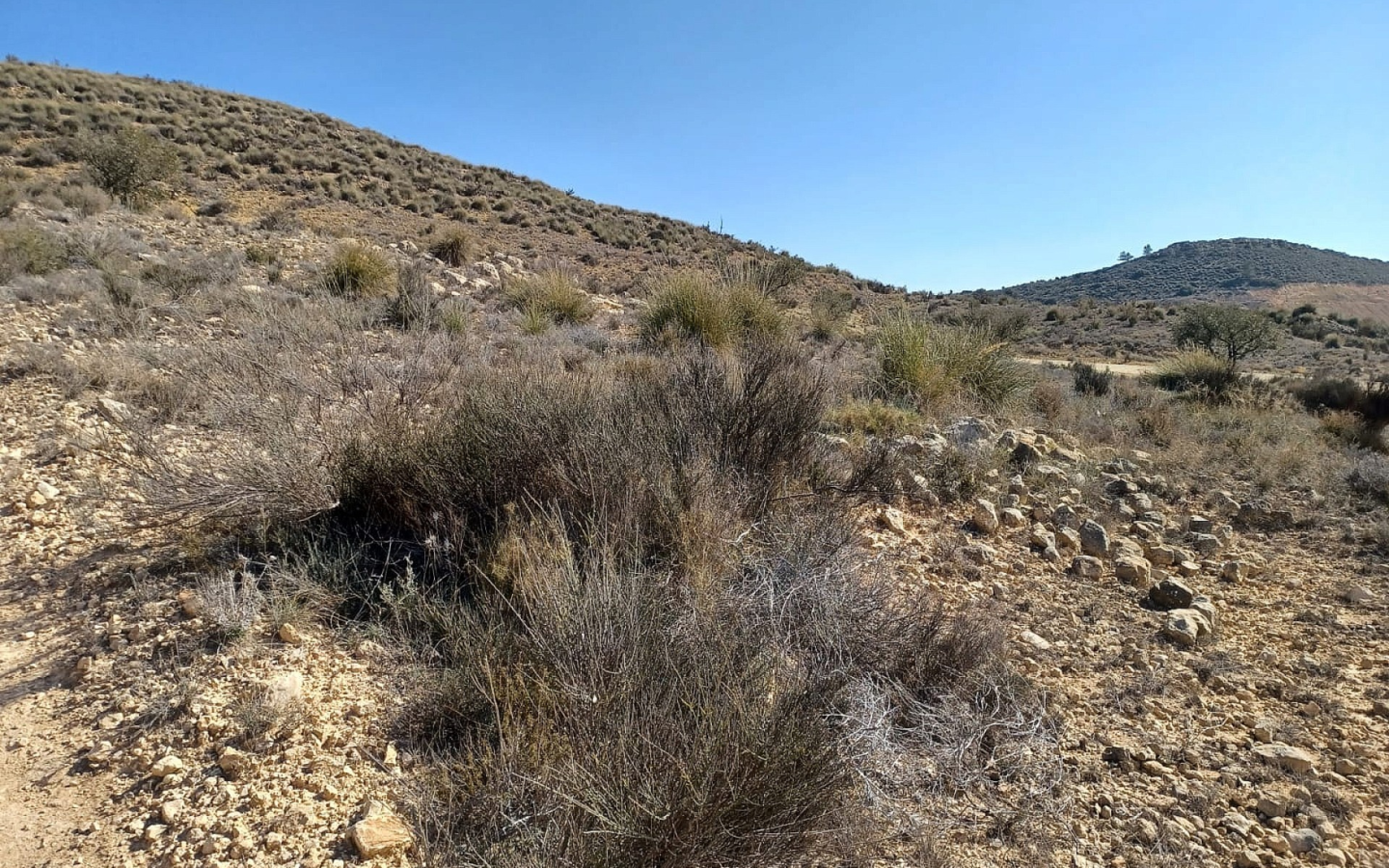 Land In Pinoso, Spain (27.000 M² Plot)
