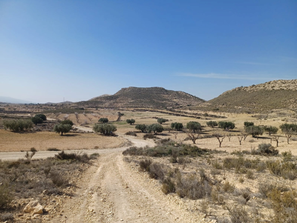 Land In Pinoso, Spain (27.000 M² Plot)