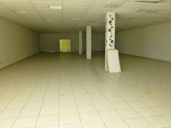 Business In Katerini, Greece (1.500 M²)