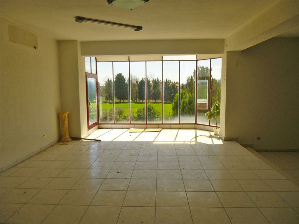 Business In Katerini, Greece (1.500 M²)