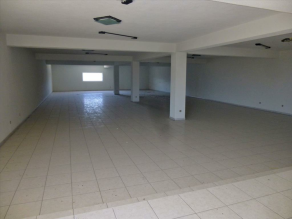 Business In Katerini, Greece (1.500 M²)