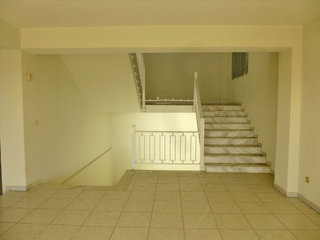 Business In Katerini, Greece (1.500 M²)