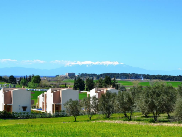 Land In Kassandra, Greece