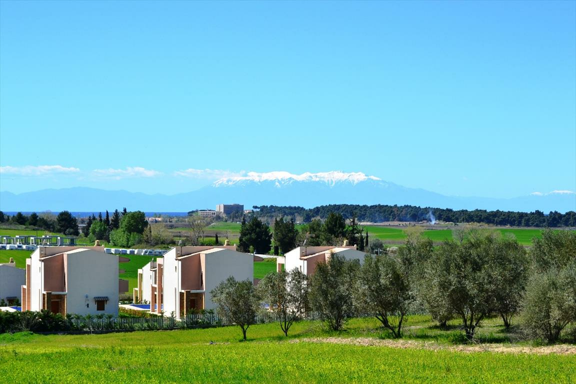 Land In Kassandra, Greece