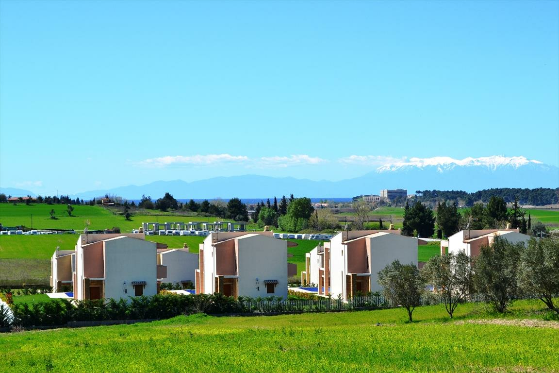Land In Kassandra, Greece