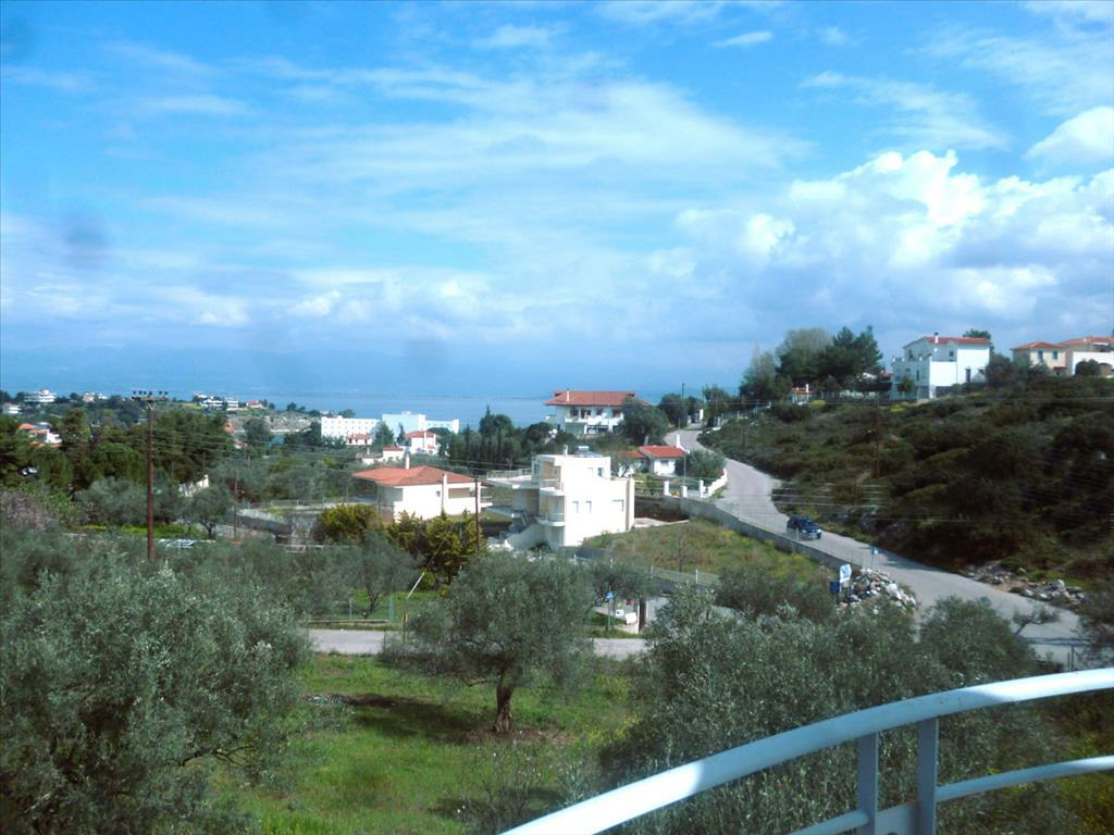 4-bedroom Detached House In Chalkida, Greece (430 M²)