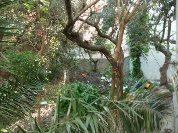 Land In Gerakas, Greece