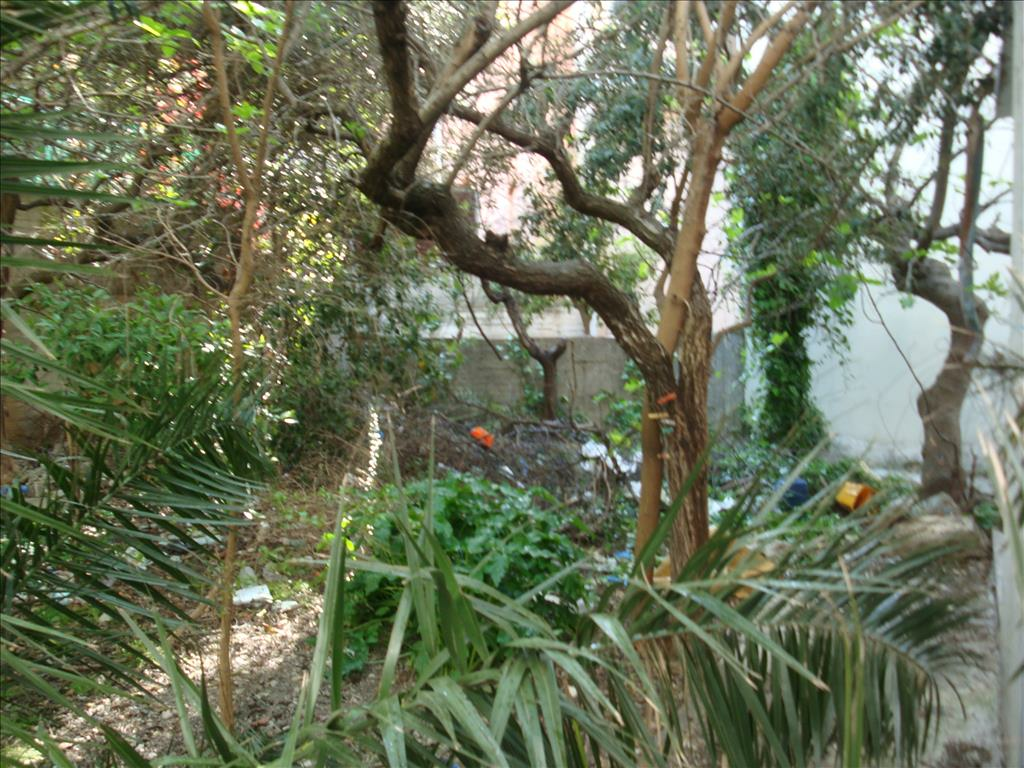 Land In Gerakas, Greece