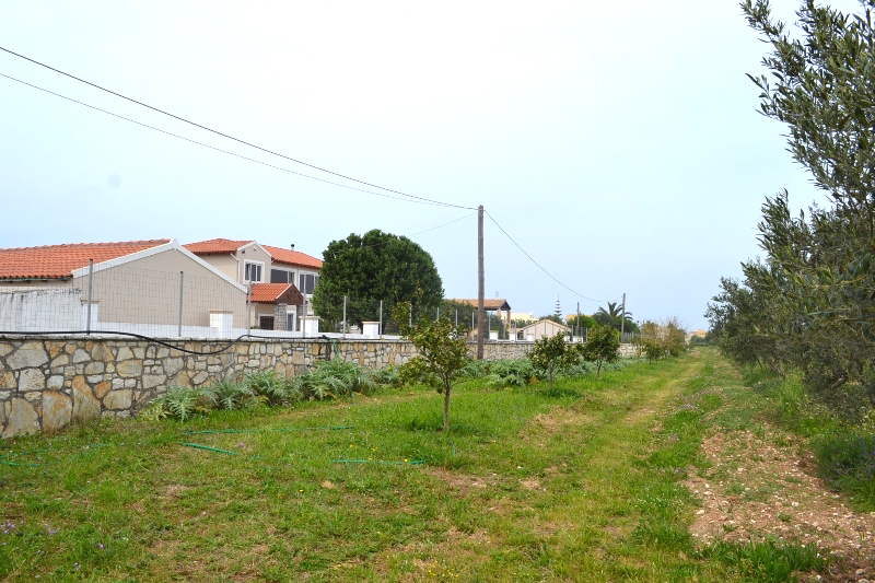 Land In Corfu, Greece