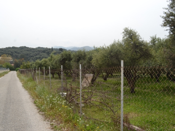 Land In Corfu, Greece