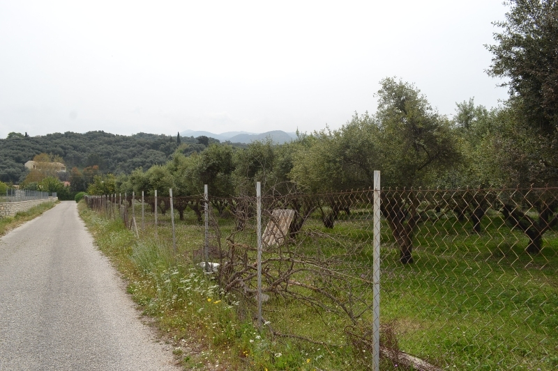 Land In Corfu, Greece