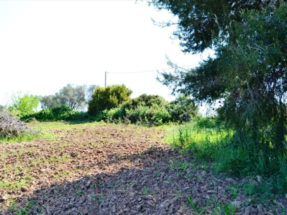 Land In Kassandra, Greece