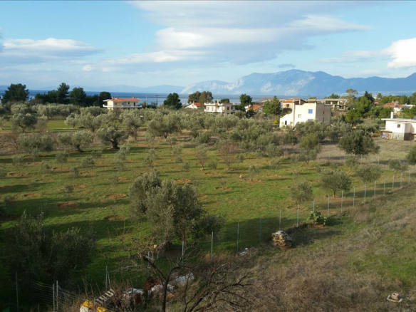 6-bedroom Detached House In Anthidonos, Greece (420 M²)
