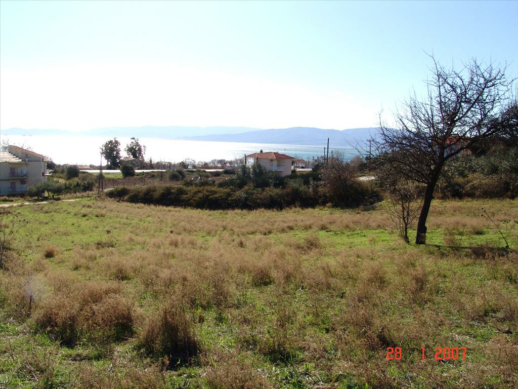 Land In Agios Georgios, Greece