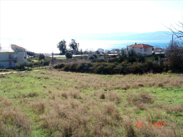 Land In Agios Georgios, Greece