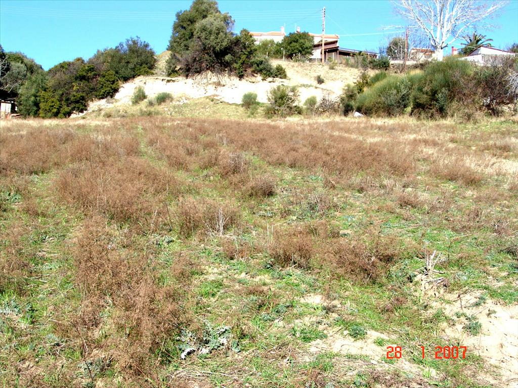 Land In Agios Georgios, Greece
