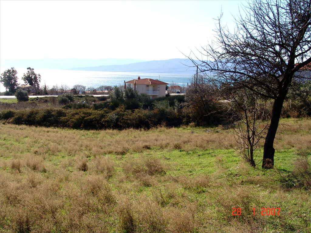 Land In Agios Georgios, Greece