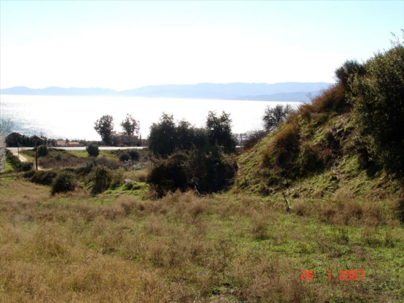 Land In Agios Georgios, Greece