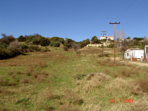 Land In Agios Georgios, Greece