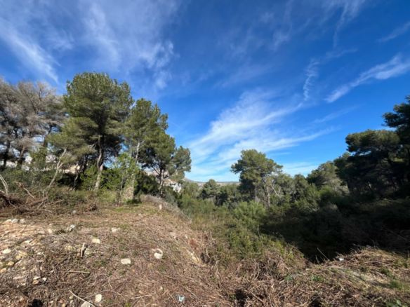 Land In Jávea, Spain (953 M² Plot)