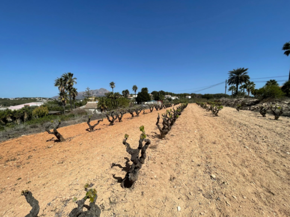 Land In Benitachell, Spain (14.132 M² Plot)