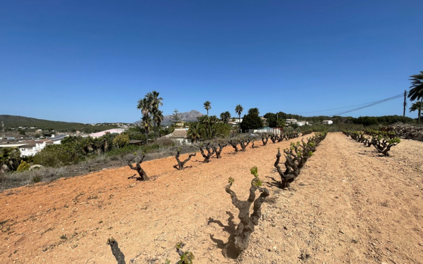 Land In Benitachell, Spain (14.132 M² Plot)