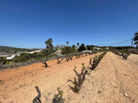 Land In Benitachell, Spain (14.132 M² Plot)