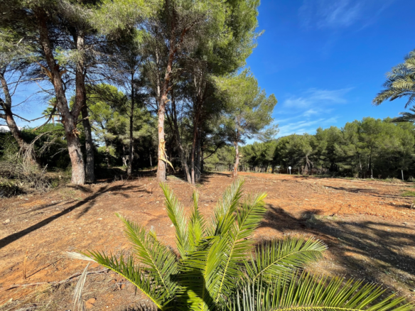 Land In Jávea, Spain (2 M² Plot)