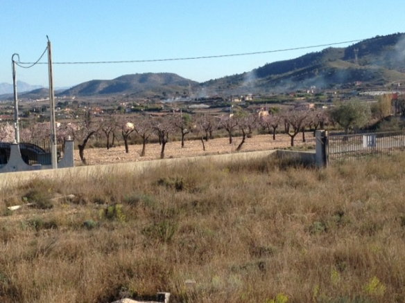 Land In Hondón De Los Frailes, Spain (5.971 M² Plot)