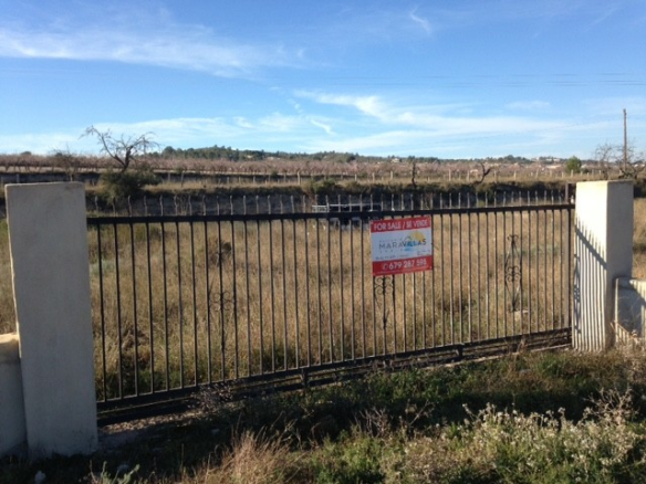 Land In Hondón De Los Frailes, Spain (5.971 M² Plot)