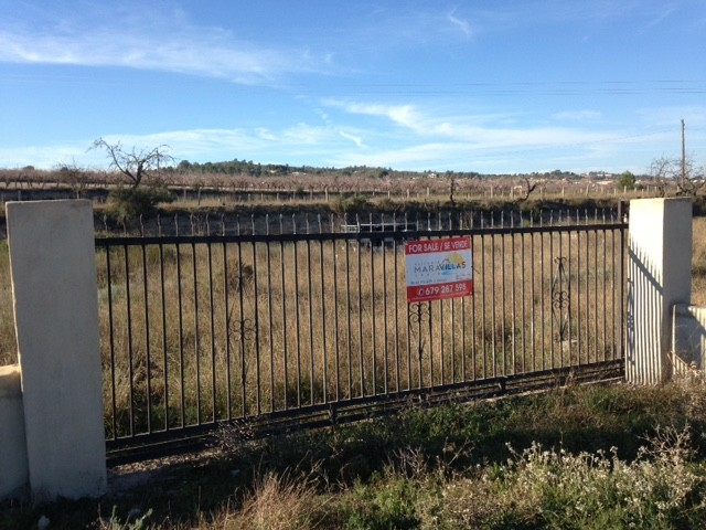 Land In Hondón De Los Frailes, Spain (5.971 M² Plot)