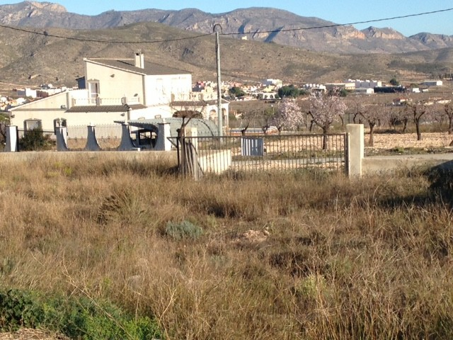 Land In Hondón De Los Frailes, Spain (5.971 M² Plot)