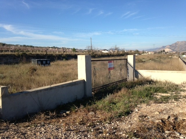 Land In Hondón De Los Frailes, Spain (5.971 M² Plot)