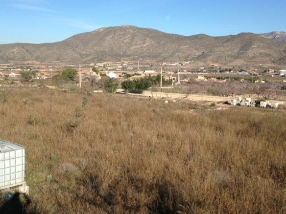 Land In Hondón De Los Frailes, Spain (5.971 M² Plot)