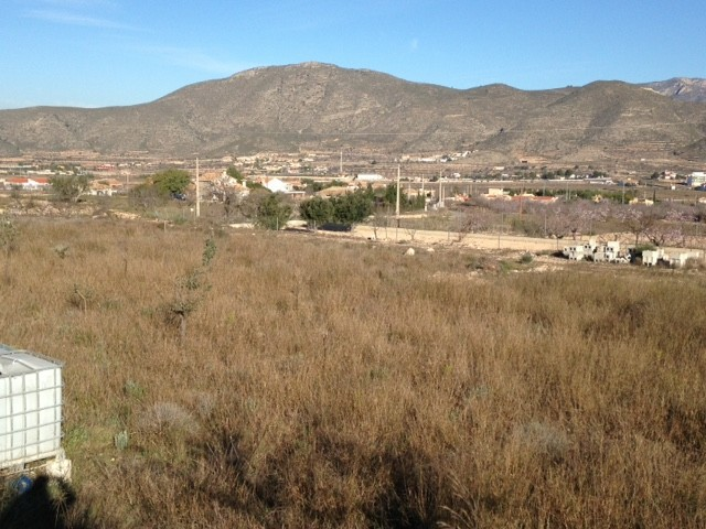 Land In Hondón De Los Frailes, Spain (5.971 M² Plot)
